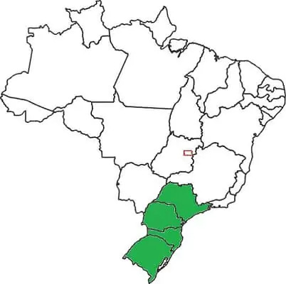 Mapa do Brasil com estados da região Sul e São Paulo marcados em verde