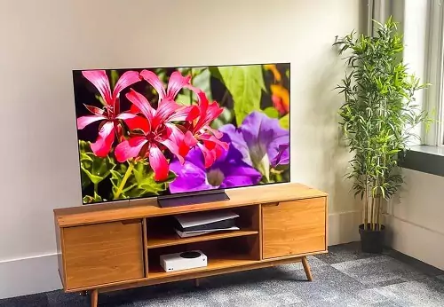 LG OLED C2 em cima de rack em sala ampla, com uma proteção de tela de flores coloridas sendo reproduzida