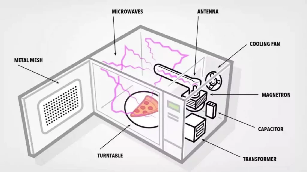 Ilustração mostrando como funciona um microondas por dentro